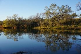 Timberland Property in McCulloch County, Texas