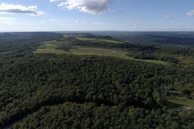 Farm and Ranch in Herkimer County, New York