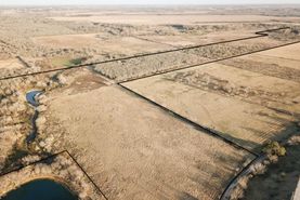 Timberland Property in Wilson County, Texas