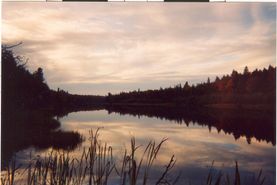 Recreational Property in Chippewa County, Michigan