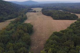 Timberland Property in Independence County, Arkansas
