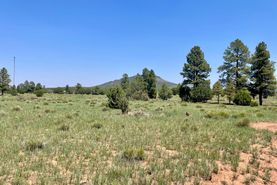 Farm and Ranch in Coconino County, Arizona
