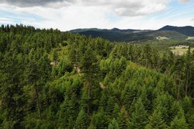 Undeveloped Land in Stevens County, Washington