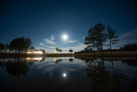 Timberland Property in Lamar County, Mississippi