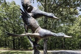 Undeveloped Land in Monroe County, Arkansas