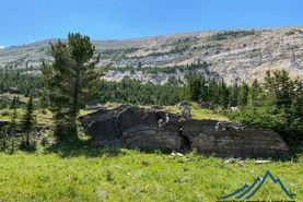 Timberland Property in Beaverhead County, Montana