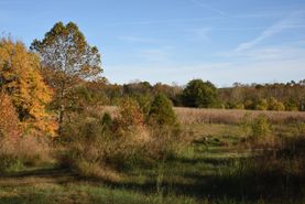 Farm and Ranch in Crittenden County, Kentucky