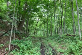Recreational Property in Perry County, Ohio
