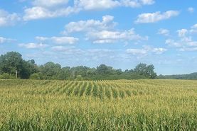 Recreational Property in LaPorte County, Indiana