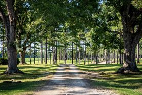 Farm and Ranch in Barnwell County, South Carolina