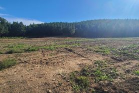 Farm and Ranch in Benton County, Tennessee