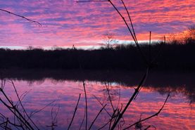 Timberland Property in Catahoula Parish, Louisiana