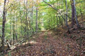 Recreational Property in Lee County, Kentucky