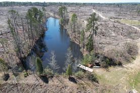 Timberland Property in Henry County, Alabama