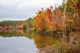 Recreational Property in Prince George County, Virginia