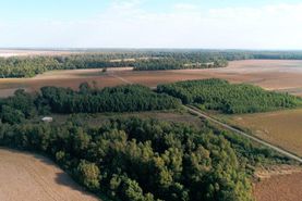 Recreational Property in Pemiscot County, Missouri