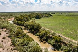 Timberland Property in Callahan County, Texas