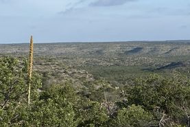 Farm and Ranch in Val Verde County, Texas
