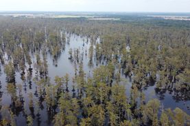 Farm and Ranch in Franklin Parish, Louisiana