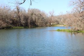 Timberland Property in Bexar County, Texas