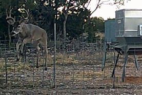 Timberland Property in Edwards County, Texas