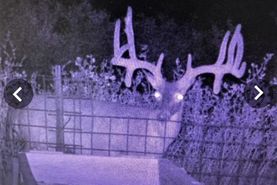 Recreational Property in Dimmit County, Texas