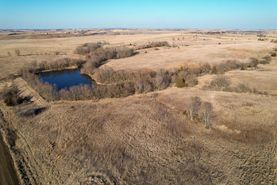 Timberland Property in Ringgold County, Iowa