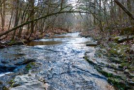Farm and Ranch in Baxter County, Arkansas