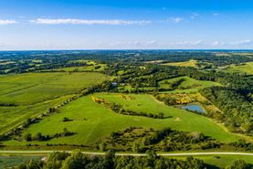 Timberland Property in Decatur County, Iowa