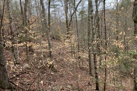Undeveloped Land in Claiborne County, Tennessee