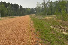 Timberland Property in Webster County, Mississippi