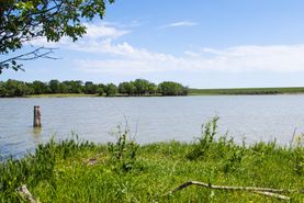 Farm and Ranch in McLennan County, Texas