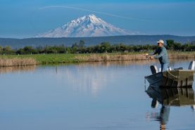 Undeveloped Land for sale in Shasta County, California