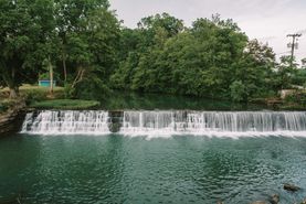 Timberland Property in Cheatham County, Tennessee