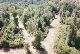 Farm and Ranch in Madison Parish, Louisiana