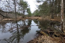 Farm and Ranch in Otsego County, New York