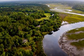 Timberland Property in Jasper County, South Carolina