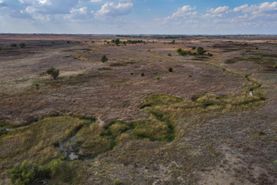 Timberland Property in Comanche County, Kansas