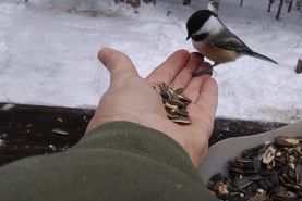 Farm and Ranch in Iron County, Wisconsin