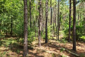 Timberland Property in Elmore County, Alabama