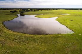 Timberland Property in Rains County, Texas