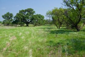Timberland Property in Young County, Texas