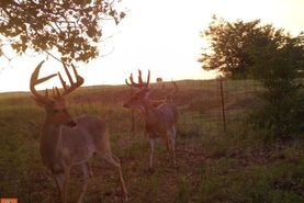 Commercial Property in Comanche County, Kansas