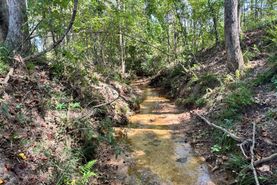 Recreational Property for sale in Henry County, Alabama