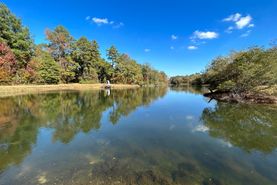Farm and Ranch in Wayne County, Mississippi