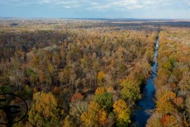 Timberland Property in Madison County, Tennessee