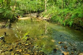 Farm and Ranch in Lee County, Alabama