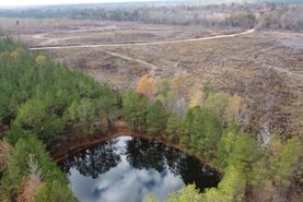 Farm and Ranch in Ashley County, Arkansas
