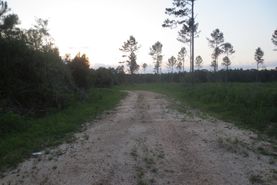 Timberland Property for sale in Walthall County, Mississippi