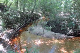 Farm and Ranch for sale in Covington County, Mississippi